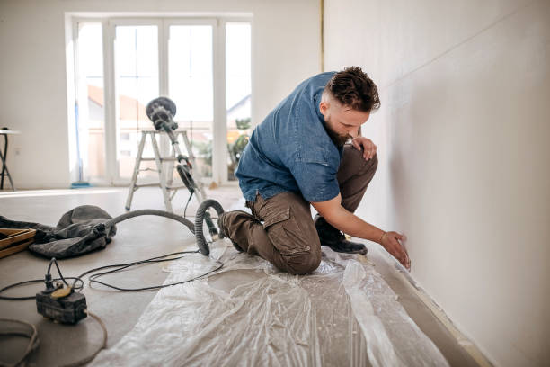 Best Drywall Sanding and Smoothing  in Dimondale, MI